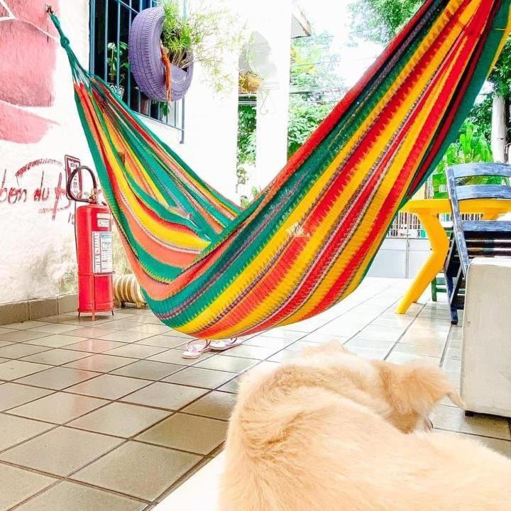 Zili Pernambuco - Hostel Pousada Recife Eksteriør billede